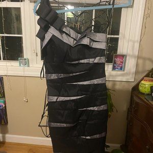 Cache Dress Size 6